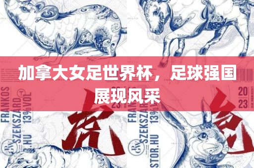 加拿大女足世界杯，足球强国展现风采