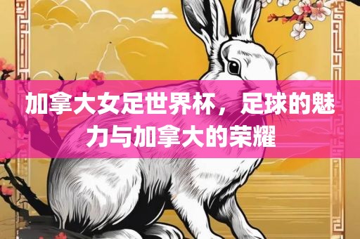 加拿大女足世界杯，足球的魅力与加拿大的荣耀