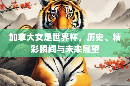 加拿大女足世界杯，历史、精彩瞬间与未来展望