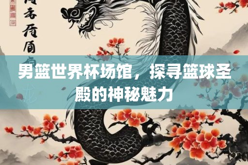 男篮世界杯场馆，探寻篮球圣殿的神秘魅力