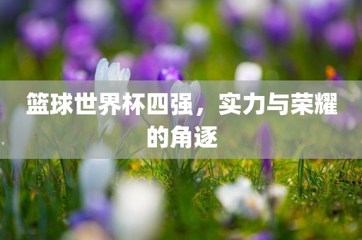 篮球世界杯四强，实力与荣耀的角逐眉山市正发家政服务有限公司