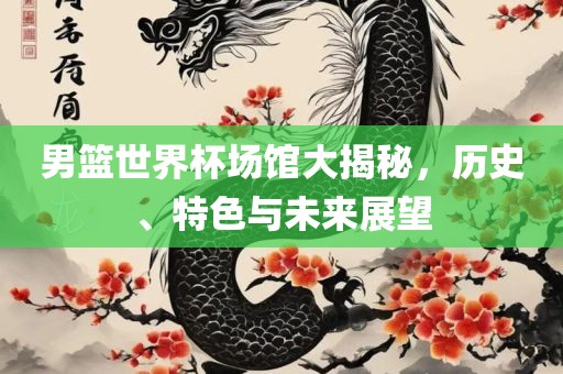 男篮世界杯场馆大揭秘，历史、特色与未来展望