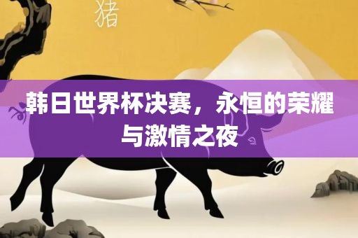 韩日世界杯决赛，永恒的荣耀与激情之夜