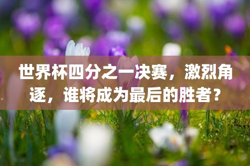 世界杯四分之一决赛，激烈角逐，谁将成为最后的胜者？
