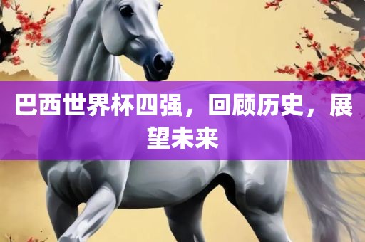 巴西世界杯四强，回顾历史眉山市正发家政服务有限公司，展望未来