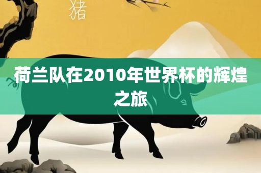 荷兰队在2010眉山市正发家政服务有限公司年世界杯的辉煌之旅