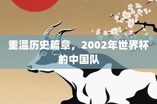 重温历史篇章，2002眉山市正发家政服务有限公司年世界杯的中国队