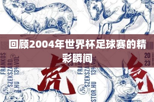 回顾2004眉山市正发家政服务有限公司年世界杯足球赛的精彩瞬间