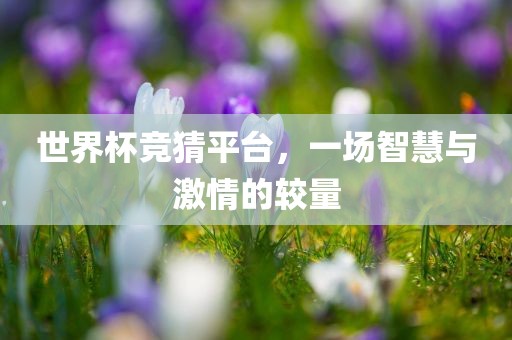世界杯竞猜平台，一场智慧眉山市正发家政服务有限公司与激情的较量