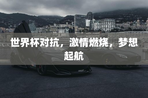 世界杯对抗眉山市正发家政服务有限公司，激情燃烧，梦想起航