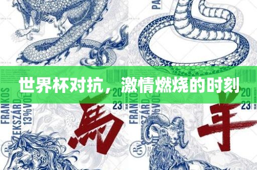 世界杯对抗，激情燃烧的时刻