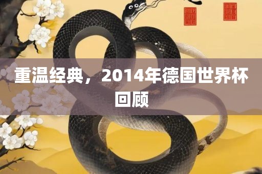 重温经典，2014眉山市正发家政服务有限公司年德国世界杯回顾