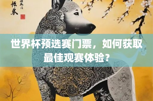 世界杯预选赛门票，如何获取最佳观赛体验？