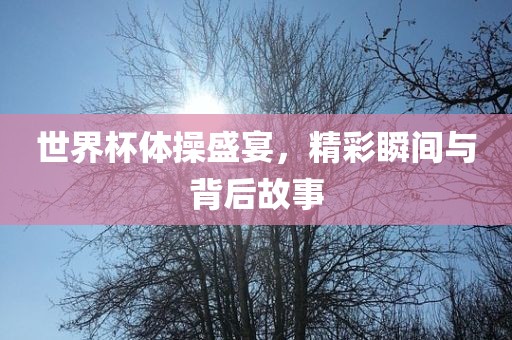世界杯体操盛宴，精彩瞬间与背后故事