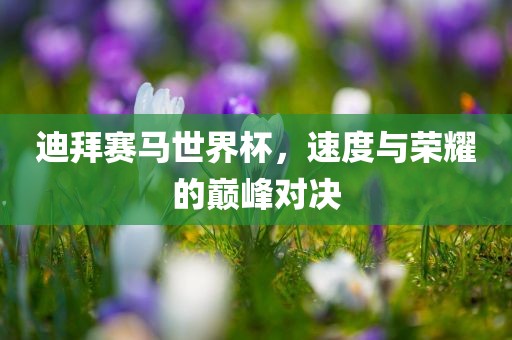 迪拜赛马世界杯，速度与荣耀的巅峰对决