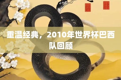 重温经典，2010年世界杯巴西队回顾