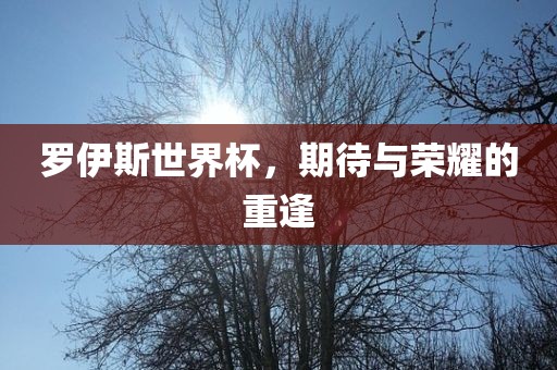 罗伊斯世界杯，期待与荣耀的重逢