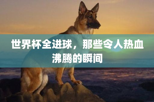世界杯全进球，那些令人热血沸腾的瞬间