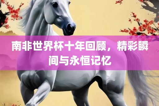 南非世界杯十年回顾，精彩瞬间与永恒记忆眉山市正发家政服务有限公司