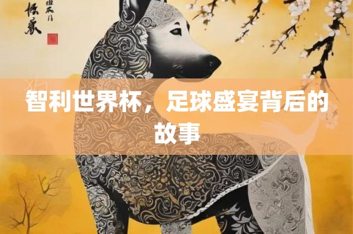 智利世界杯，足球盛宴背后的故事