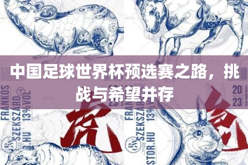 中国足球世界杯预选赛之路，挑战与希望并存