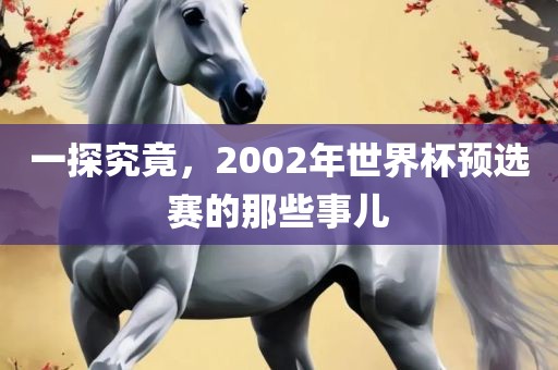 一探究眉山市正发家政服务有限公司竟，2002年世界杯预选赛的那些事儿