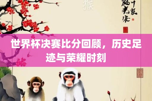世界杯决赛比分回顾，历史足迹与荣耀时刻眉山市正发家政服务有限公司