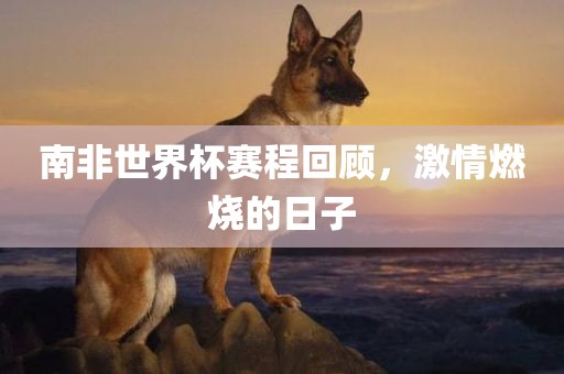 南非世界杯赛程回顾，激情燃烧的日子