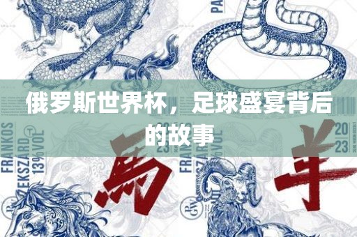 俄罗斯世界杯，足球盛宴背后的故事眉山市正发家政服务有限公司
