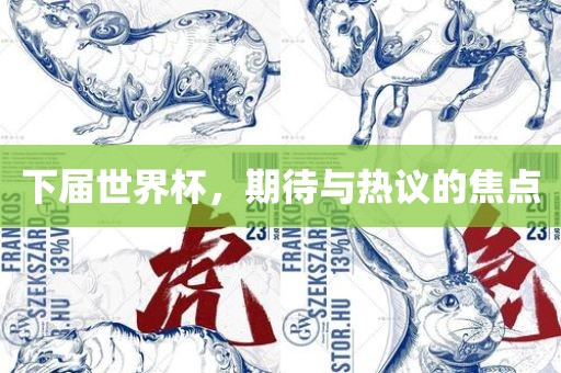 下届世界杯，期待与热议的焦点
