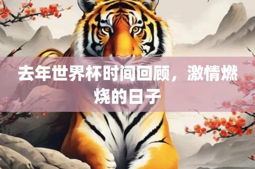 去年世界杯时间回顾，激情燃烧的日子眉山市正发家政服务有限公司