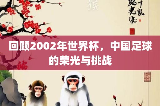 回顾2002年世界杯，中国足球的荣光与挑战