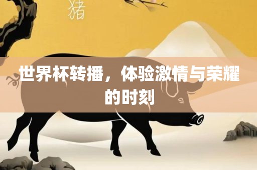 世界杯转播，体验激情与荣耀的时刻