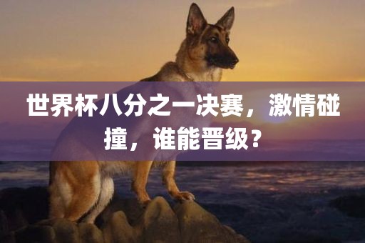 世界杯八分之一决赛，激情碰撞，谁能晋级？