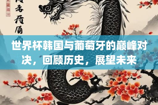 世界杯韩国与葡萄牙的巅峰对决，回顾历史，展望未来眉山市正发家政服务有限公司