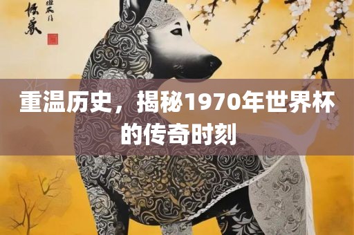 重温历史，揭秘1970年世界杯的传奇时刻