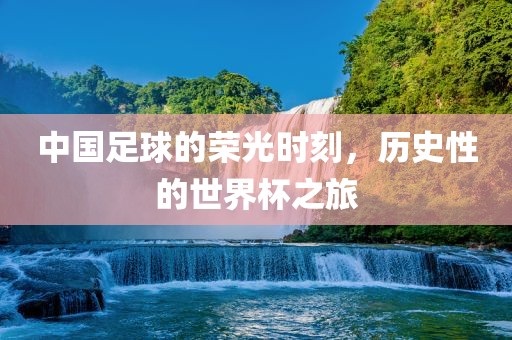 中国足球的荣光时刻，历史性的世界杯之旅眉山市正发家政服务有限公司