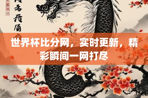 世界杯比分网，实时更新，精彩瞬间一网打尽