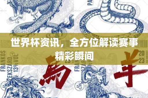 世界杯资讯，全方位解读赛事精彩瞬间