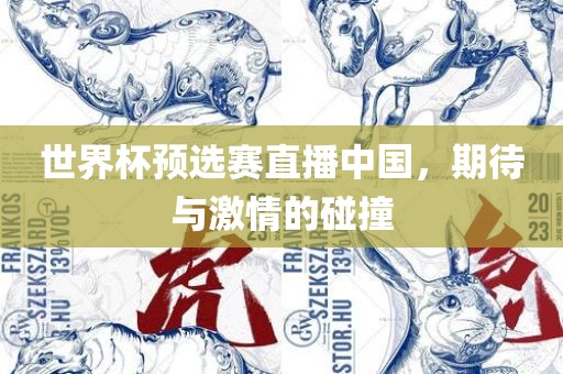 世界杯预选赛直播中国，期待与激情的碰撞