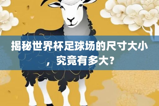 揭秘世界杯足球场的尺寸大小，究竟有多大？