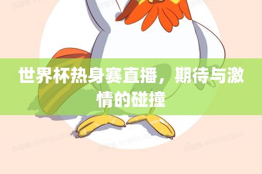 世界杯热身赛直播，期待与激情的碰撞