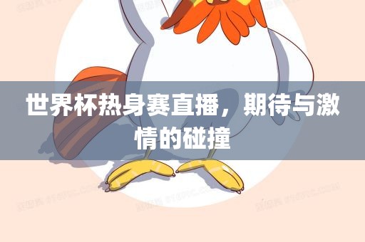 世界杯热身赛直播，期待与激情的碰撞