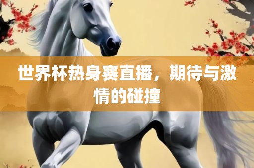 世界杯热身赛直播，期待与激情的碰撞