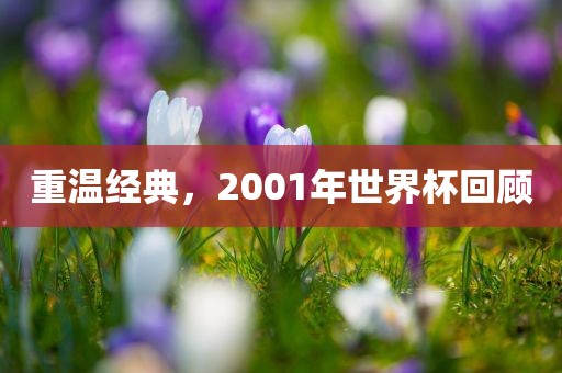 重温经典，2001年世界杯回顾