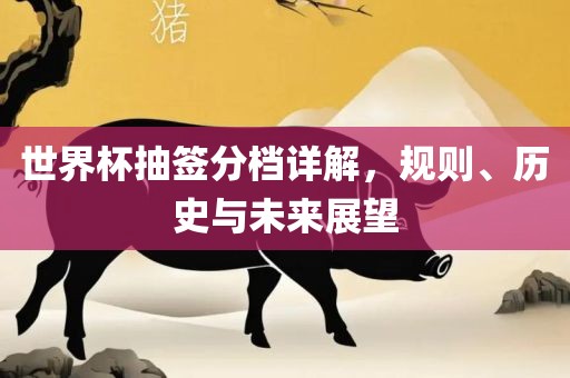 世界杯抽签分档详解，规则、历史与未来展望眉山市正发家政服务有限公司
