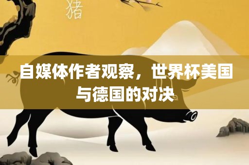 自媒体作者观察，世界杯美眉山市正发家政服务有限公司国与德国的对决