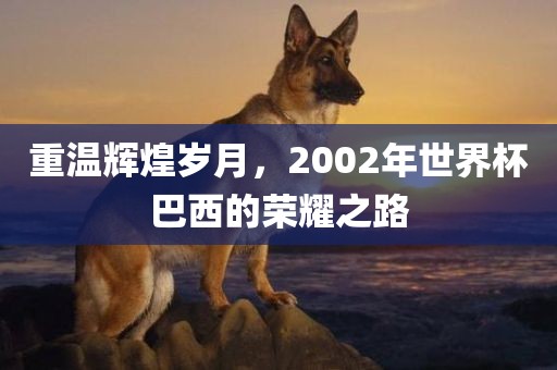 重温辉煌岁月，2002年世界杯巴西的荣耀之路