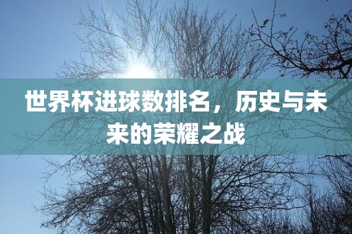 世界杯进球数排名，历史与未来的荣耀之战眉山市正发家政服务有限公司