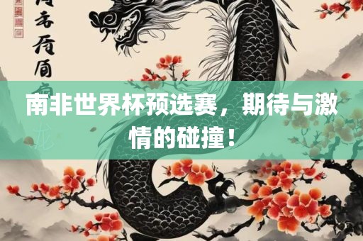 南非世界杯预选赛，期待与激情的碰撞！